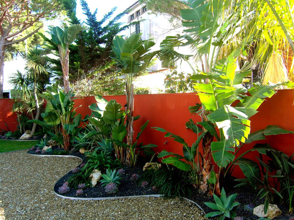 Tropical Backyard Ideas For Beautiful View #507 | House ...