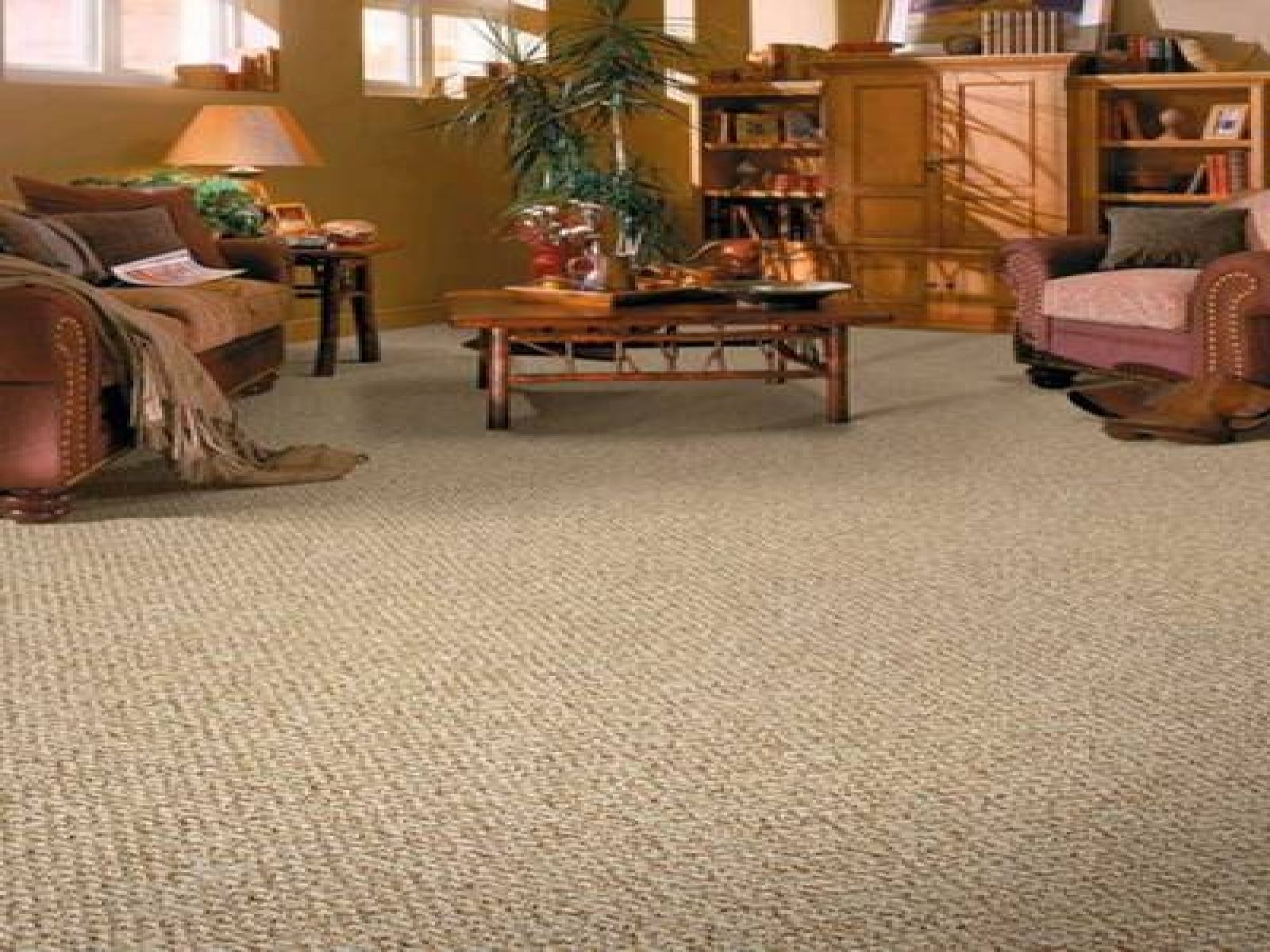 Carpet Or Flooring In Living Room