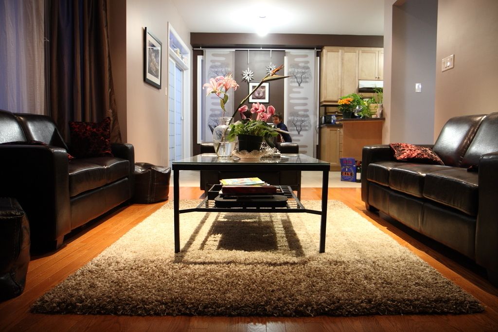Popular Shag Rug For Modern Living Room (View 13 of 13)