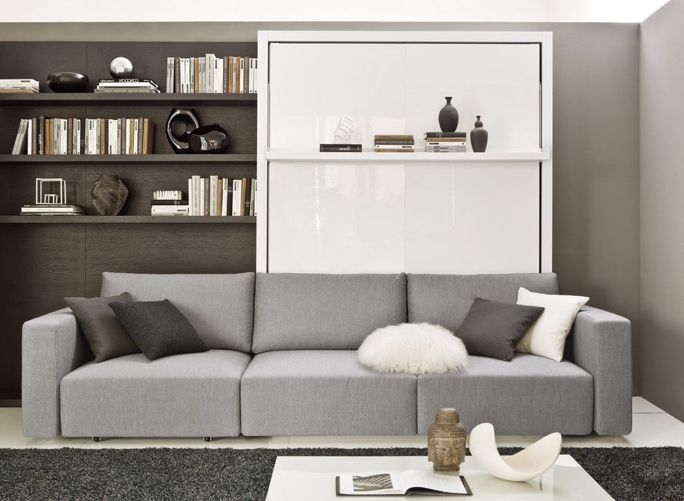 Wonderful Living Room Sofa Bed Trendy Design (View 1 of 11)