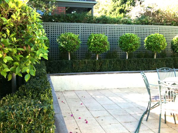 Simple Minimalist Garden Hedges Ideas