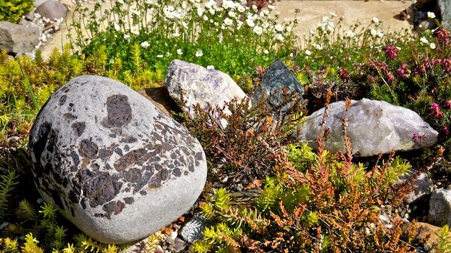 Featured Photo of Simple Rock Garden Decoration Ideas