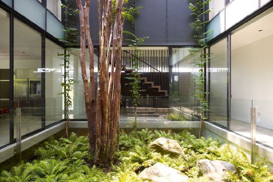 Tropical Homes Design Indoor Garden (View 22 of 33)