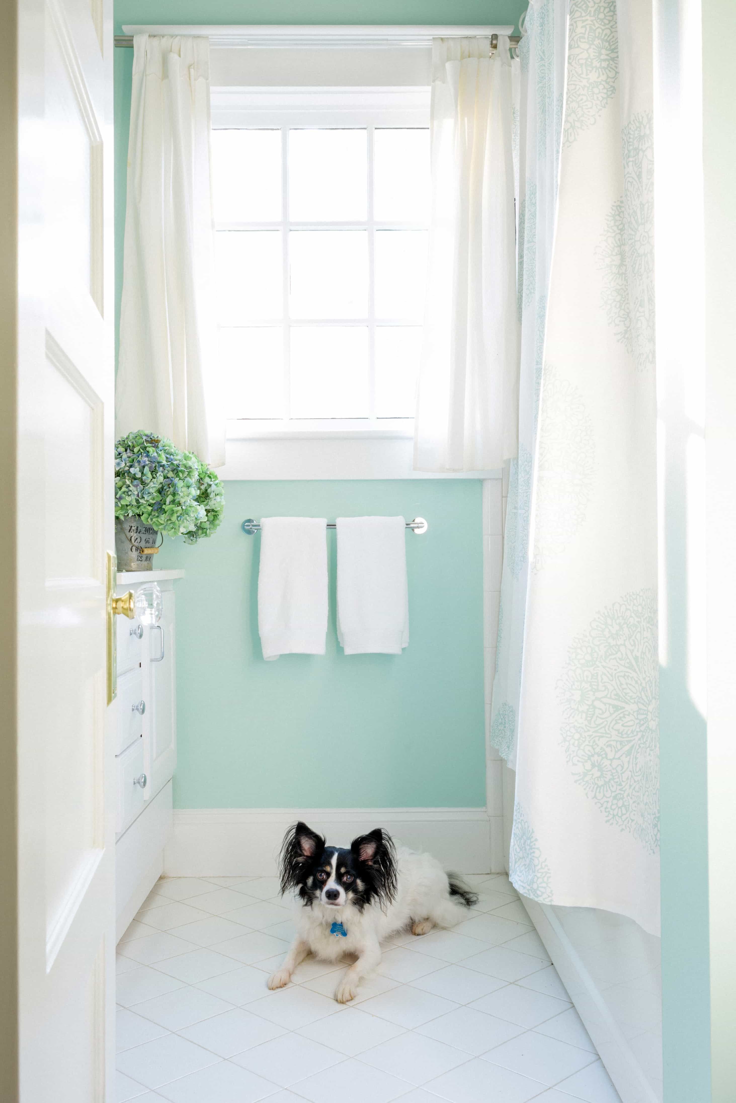 Featured Photo of Mint Green Cottage Style Bathroom