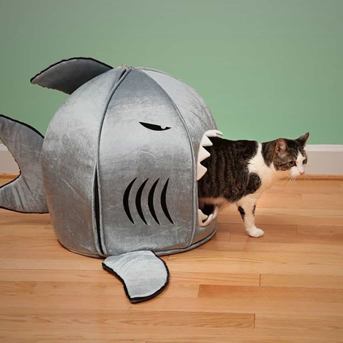 Shark Shape Cat Tunnel (View 5 of 10)