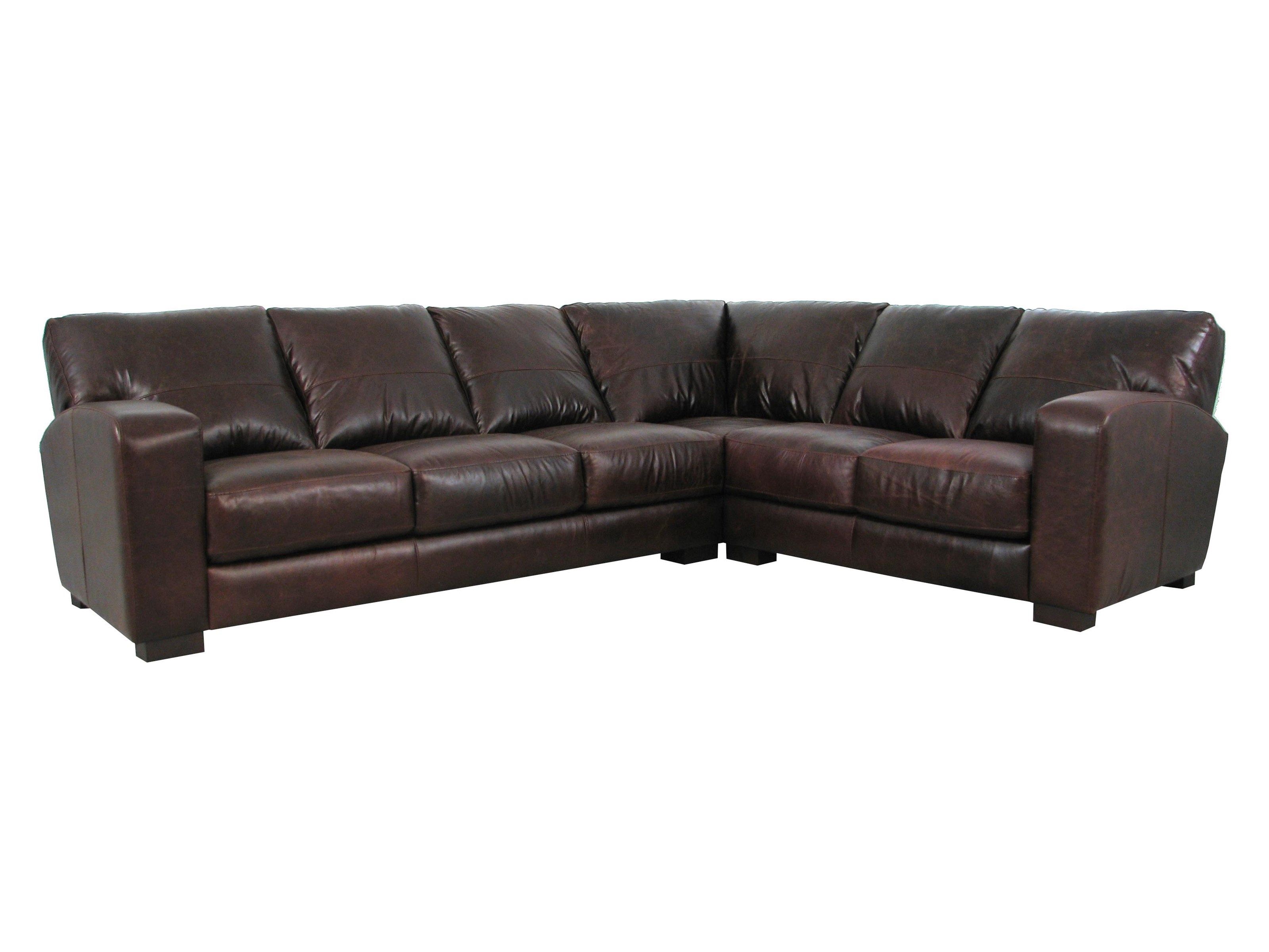 Beautiful Sectional Sofas Tampa 47 For Diana Dark Brown Leather Pertaining To Diana Dark Brown Leather Sectional Sofa Set (View 12 of 15)