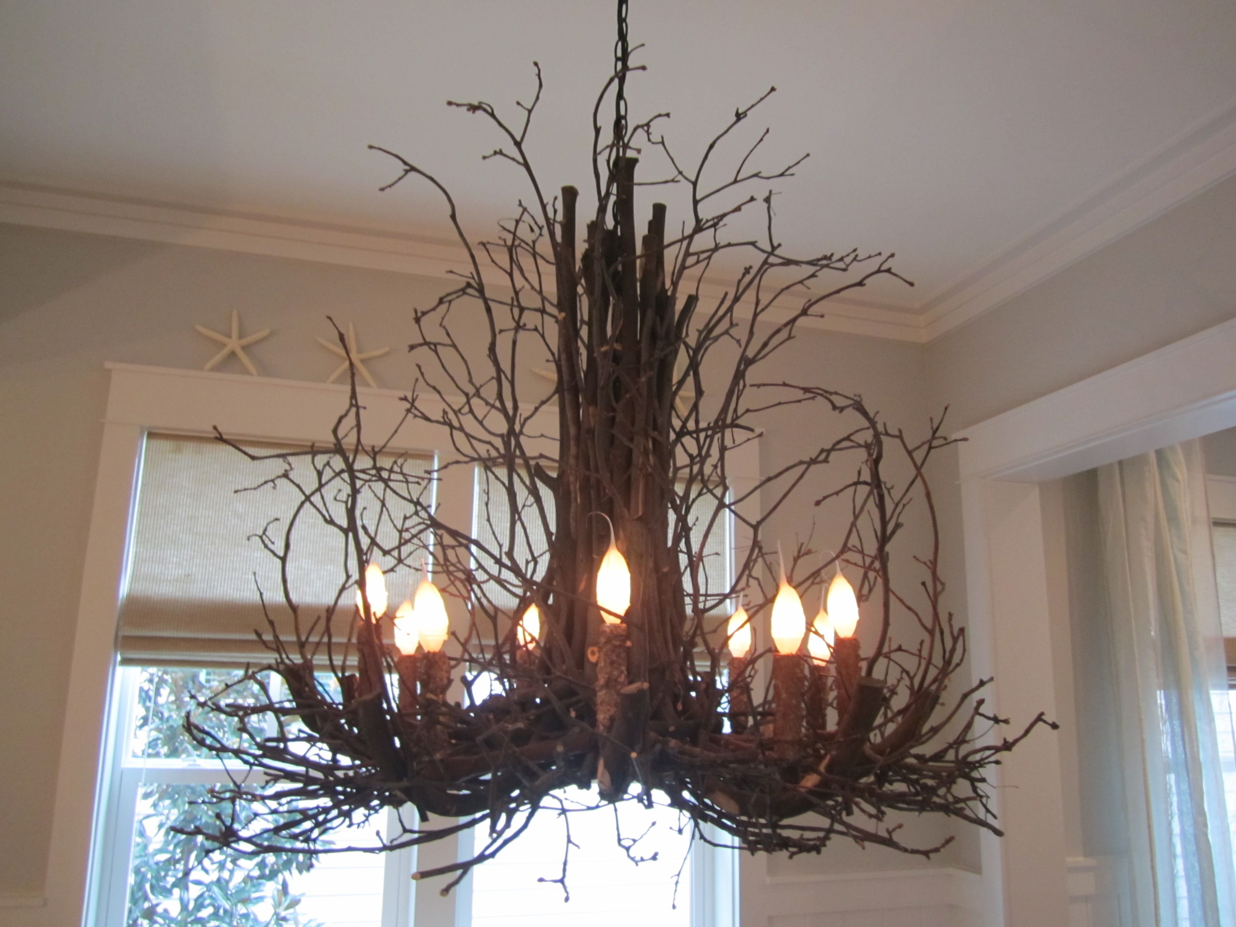 Lighting Cool Chandelier Project With Alluring Tree Branch Inside Branch Chandeliers (View 5 of 15)
