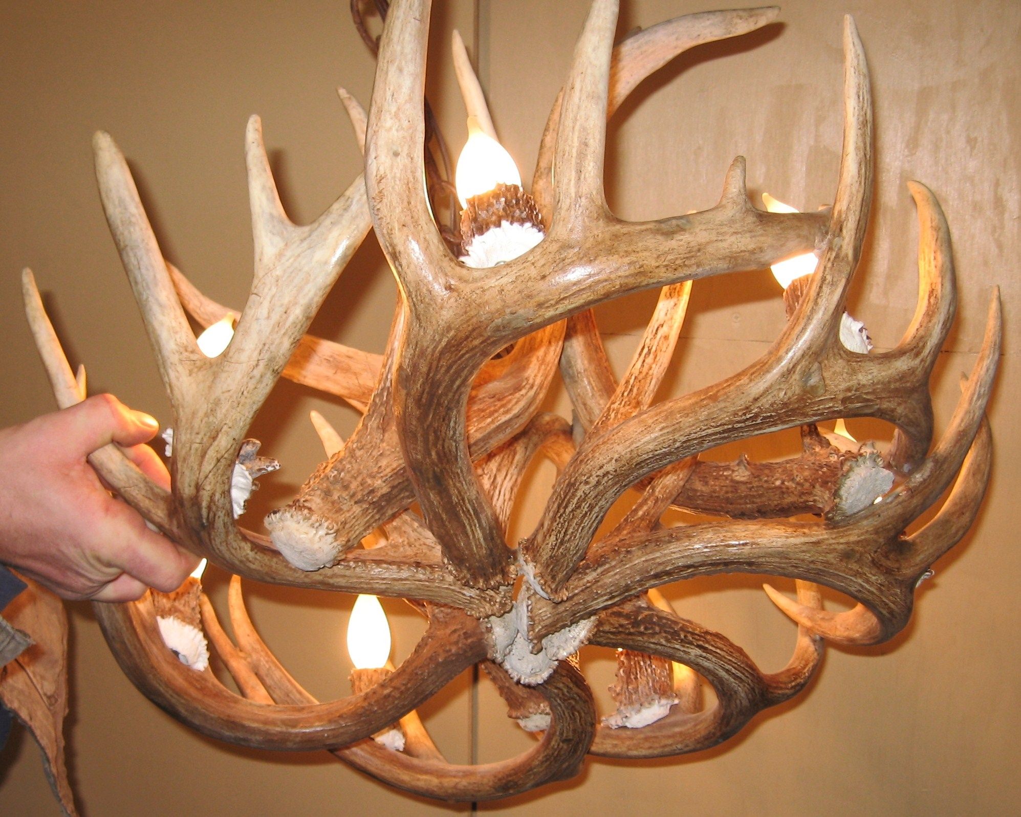 Round Whitetail Deer Antler Chandelier Within Antler Chandeliers And Lighting (View 9 of 15)