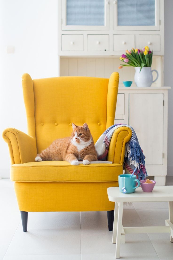 25 Great Ideas About Yellow Armchair On Pinterest Throughout Yellow Sofa Chairs (Photo 1 of 15)