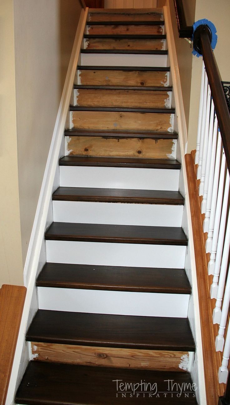 Best 25 Carpet Stair Treads Ideas On Pinterest Wood Stair Regarding Carpet For Wood Stairs (View 12 of 15)