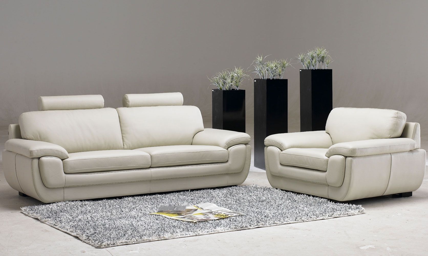 Leather Living Room Furniture With Three Decorative Plants House With Sofa Chairs For Living Room (View 1 of 15)