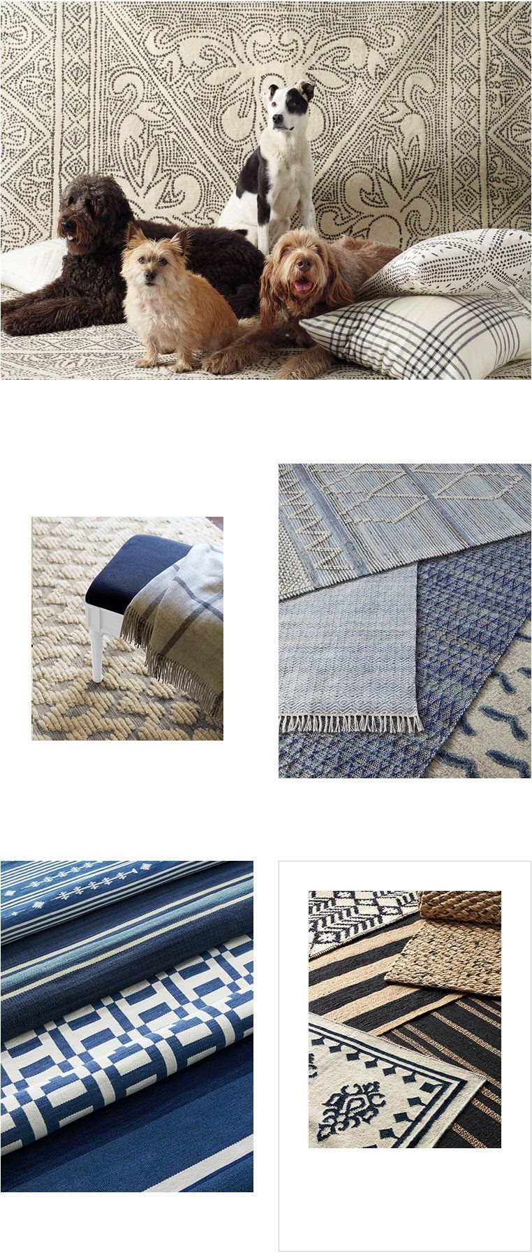 The Rug Collection Serena Lily Intended For Lily Rugs (View 9 of 15)