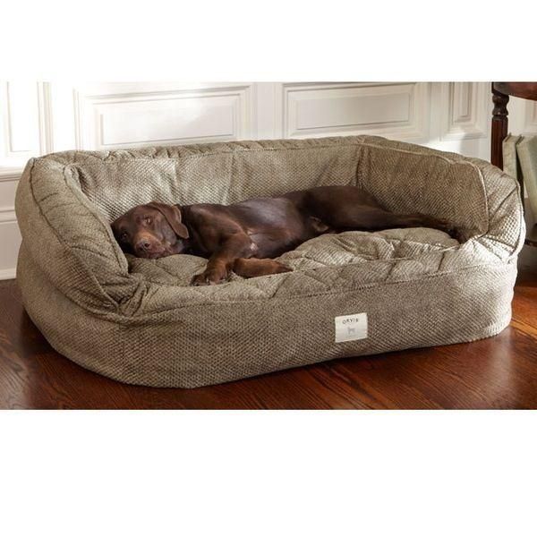 Best 25+ Dog Couches Ideas On Pinterest | Dog Couch Cover, Dog Throughout Giant Sofa Beds (View 16 of 20)