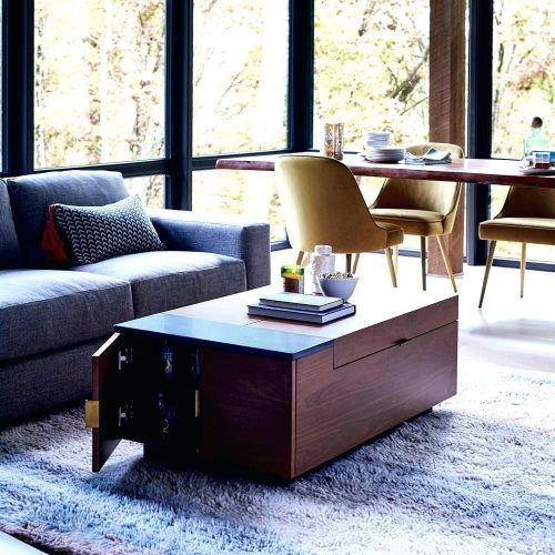 Fantastic Wellliked Cd Storage Coffee Tables With Regard To Coffee Table Cute Dvd Storage Coffee Table About Inspirational (View 27 of 50)