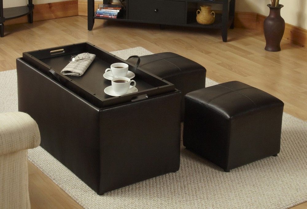 Remarkable Common Coffee Tables With Seating And Storage For Convenience Concepts Designs4comfort Sheridan Storage Bench W 2 (Photo 26 of 50)