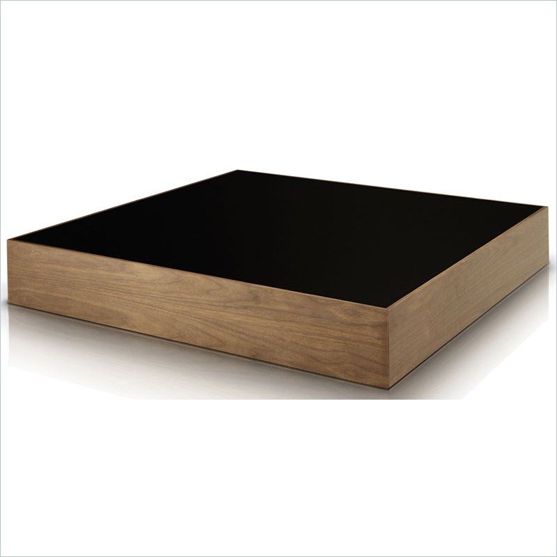 Stunning Best Low Coffee Tables With Storage Within Low Square Coffee Table (View 12 of 40)