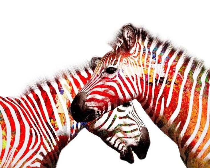74 Best Framed Print Artwork Images On Pinterest | Framed Prints Inside Zebra Wall Art Canvas (View 17 of 20)