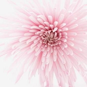 Ceramic Flower Wall Art – Products, Bookmarks, Design, Inspiration In Pink Flower Wall Art (View 2 of 20)