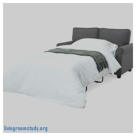 Sleeper Sofa: Mainstays Sleeper Sofa Best Of Mainstays Sofa Within Mainstays Sleeper Sofas (View 18 of 20)
