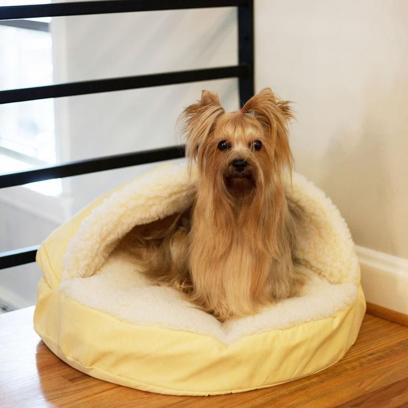 Snoozer Luxury Cozy Cave Dog Bed | 28 Colors/fabrics | 3 Sizes Pertaining To Snoozer Luxury Dog Sofas (View 20 of 20)