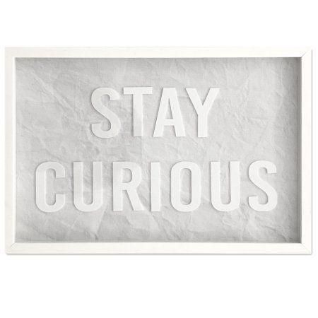 Stay Curious' Framed Art, Size: 24 X 16, White | Walmart And Products With Walmart Framed Art (View 11 of 20)
