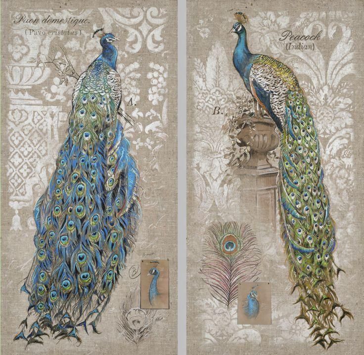 The 25+ Best Peacock Wall Art Ideas On Pinterest | Peacock Art In Jeweled Peacock Wall Art (Photo 3 of 20)