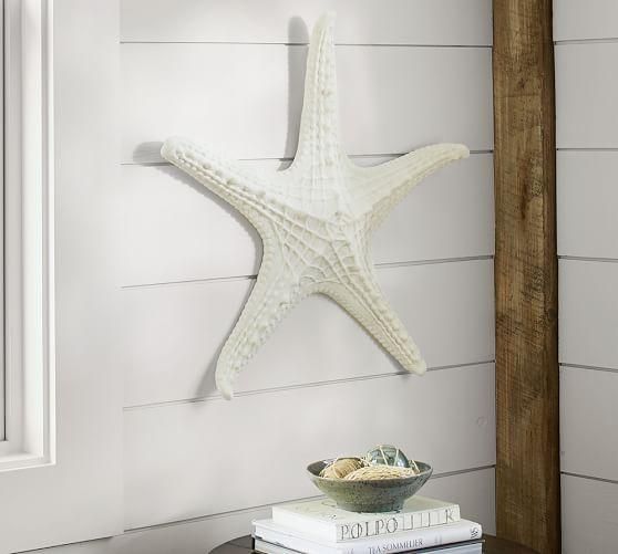 Featured Photo of Large Starfish Wall Decors