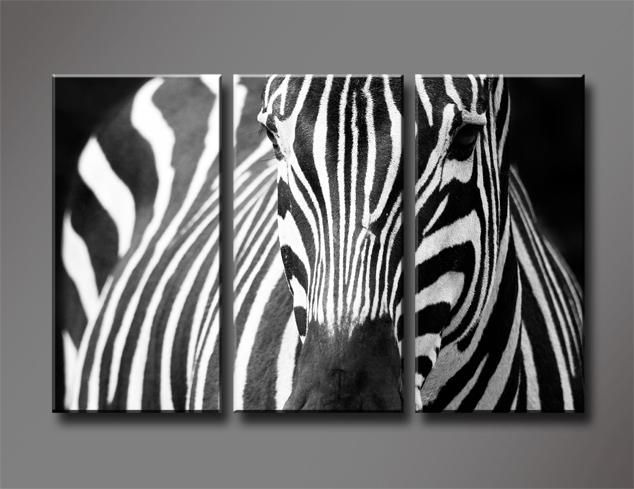 Wall Decoration. Zebra Canvas Wall Art – Lovely Home Decoration With Zebra Wall Art Canvas (Photo 8 of 20)