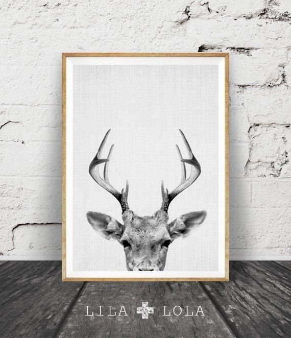 White Antler Wall Decor (View 16 of 20)