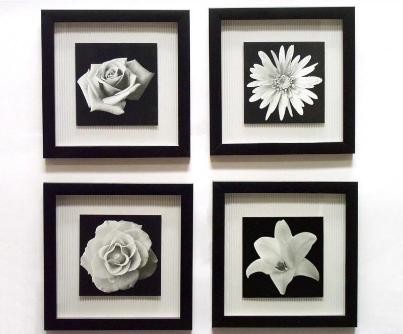 White Floral Framed Black And White | Novelty | Inspirational Intended For Black And White Framed Wall Art (Photo 1 of 20)