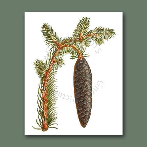 50 Best Pine Cones Images On Pinterest | Pine Cones, Pinecone And With Regard To Pine Cone Wall Art (View 15 of 20)