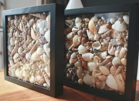 Diy Framed Shell Wall Art – Completely Coastal Pertaining To Wall Art With Seashells (View 7 of 20)