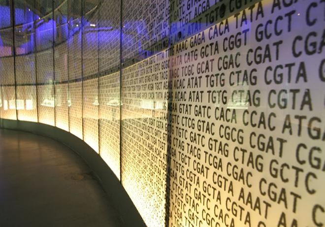 Dna Art | Dna Art, Dna Pictures, Genetic Art, Science And Art With Dna Wall Art (View 16 of 20)