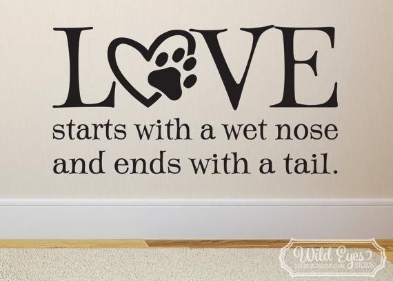 Love Starts With A Wet Nose And Ends With A Tail Wall Vinyl Regarding Dog Sayings Wall Art (Photo 15 of 20)