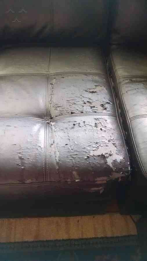 El Dorado Furniture – Review About Sectional Sofa From West Palm Regarding El Dorado Sectional Sofas (View 10 of 10)