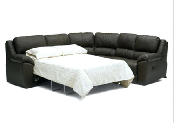 Ikea Sleeper Sofa With Chaise Excellent Latest Sectional Sleeper Inside Ikea Sectional Sleeper Sofas (View 8 of 10)