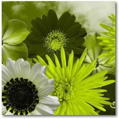 Lime Green Flowers On Canvas. Modern Digital Canvas Prints (View 15 of 20)