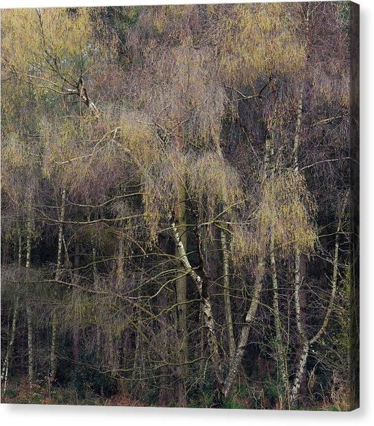 Nottingham Canvas Prints (Page #3 Of 64) | Fine Art America For Nottingham Canvas Wall Art (View 17 of 20)