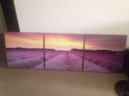 Wall Art Canvas Print In Queensland | Gumtree Australia Free Local Inside Queensland Canvas Wall Art (Photo 9 of 20)