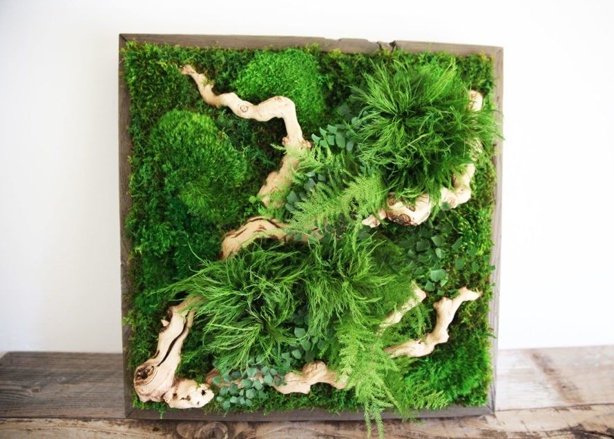 Featured Photo of Living Wall Art