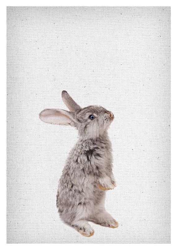 Bright Design Bunny Wall Art Modern Decoration Rabbit Print Decor Throughout Bunny Wall Art (Photo 5 of 10)