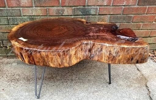 Remarkable Tree Trunk Coffee Table Pertaining To Wood Slice Designs Pertaining To Sliced Trunk Coffee Tables (View 40 of 40)
