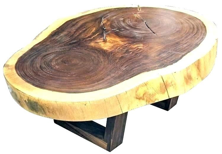 Tree Coffee Table Coffee Table Tree Slab For Sale Slice Made From In Sliced Trunk Coffee Tables (View 37 of 40)