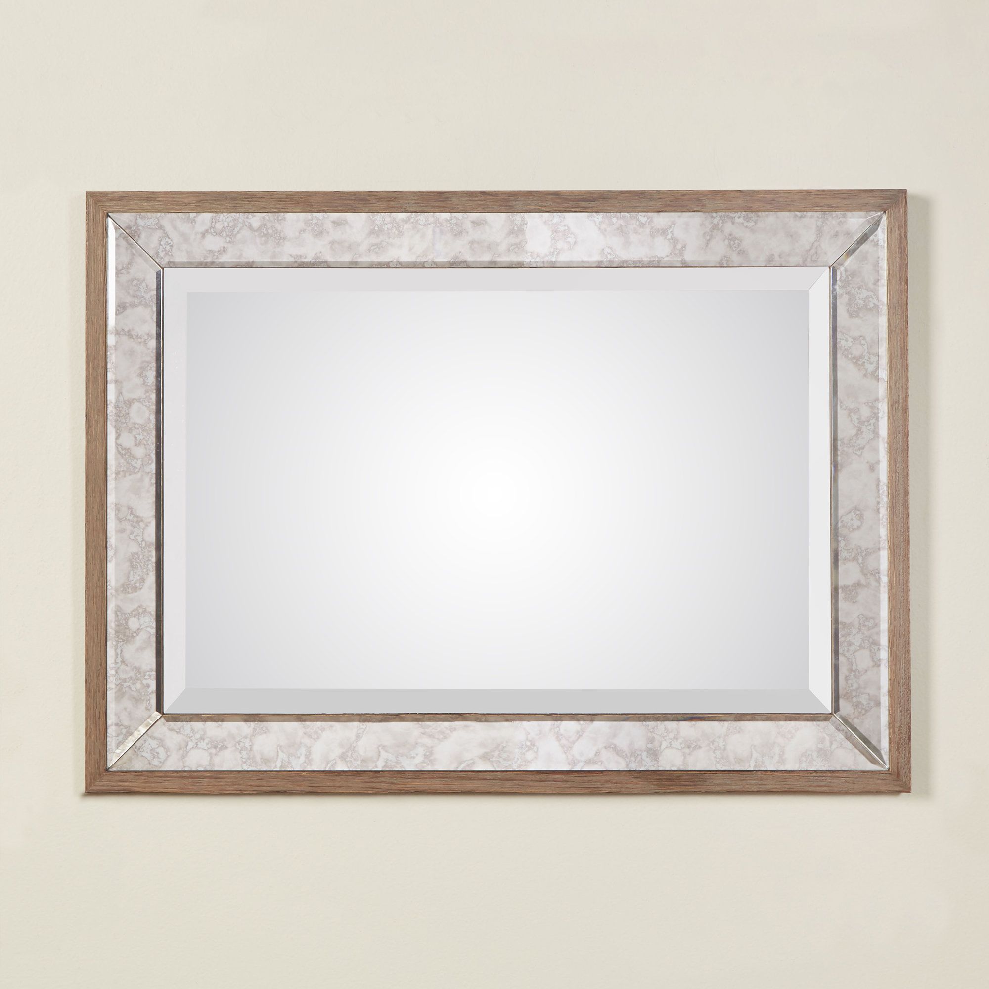 Michele Accent Mirror With Regard To Rectangle Antique Galvanized Metal Accent Mirrors (View 10 of 20)