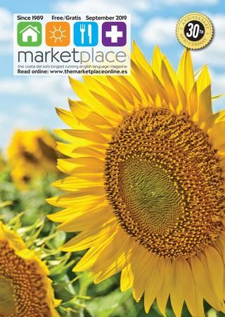Market Place September 2019Baker Pickard Sl – Issuu Inside Window Curtains Sets With Colorful Marketplace Vegetable And Sunflower Print (View 23 of 25)