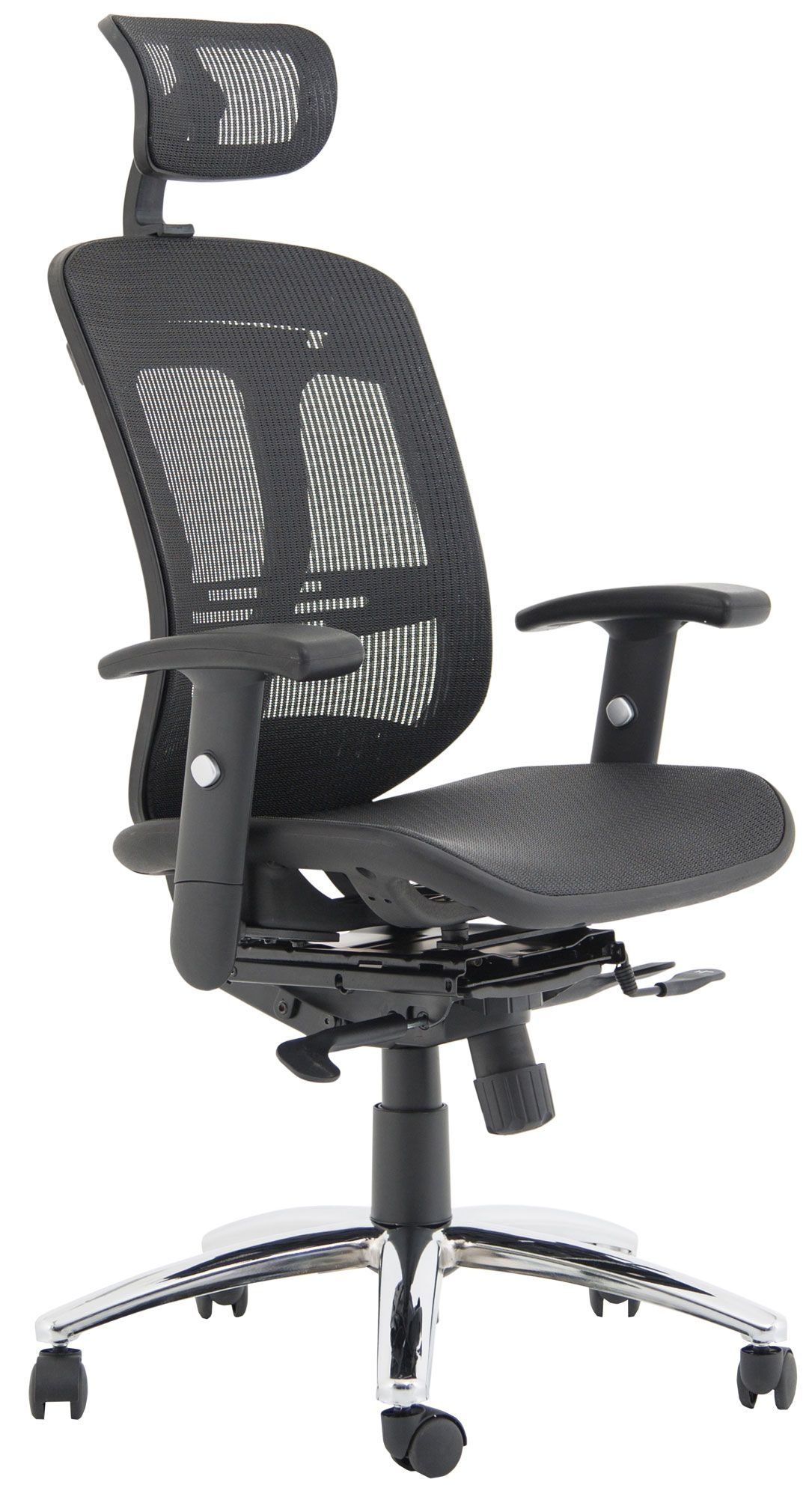 Carinosa Ii Mesh Office Chair | Executive Office Chairs With Office Sofas And Chairs (View 6 of 15)