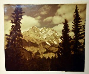8" Vintage Color Photo Mountain Landscape Pine Trees John With Regard To Landscape Wall Art (View 13 of 15)