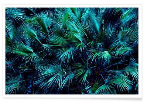Amoung The Palm Leaves – Beyond Reason – Premium Poster Regarding Palm Leaves Wall Art (View 13 of 15)