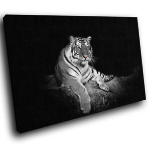 Black Tiger White Grey Funky Animal Canvas Wall Art Large Pertaining To Tiger Wall Art (View 9 of 15)