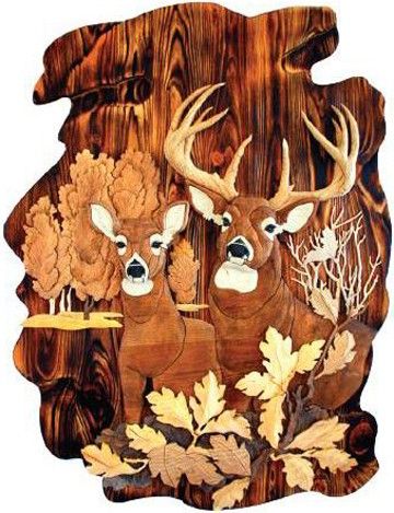 Deer In Woods Wall Art 27 X 35 With Nature Wood Wall Art (View 10 of 15)